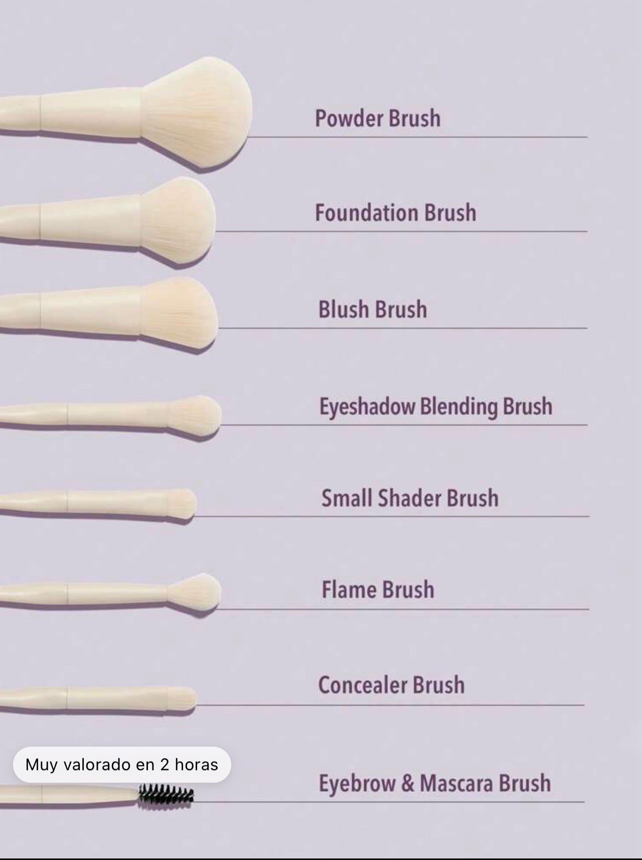 SHEGLAM - pack Brush  (x8 pièces )